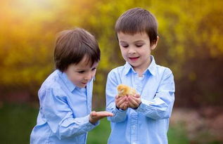 吕姓男孩起名三个字