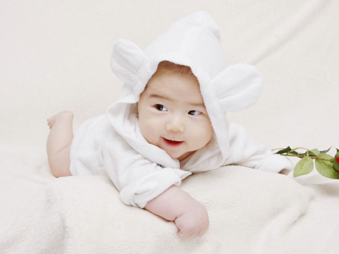 洪姓男孩取名带木字